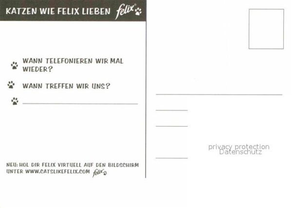 Katzen Werbung Felix – Bild 2