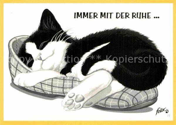 Katzen Werbung Felix