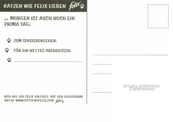 Katzen Werbung Felix – Bild 2