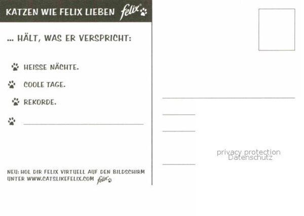 Katzen Fussball Werbung Felix – Bild 2