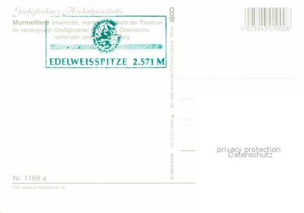Murmeltier Grossglockner Hochalpenstrasse Pasterze – Bild 2