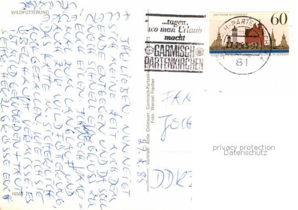 Hirsch Wildfütterung – Bild 2