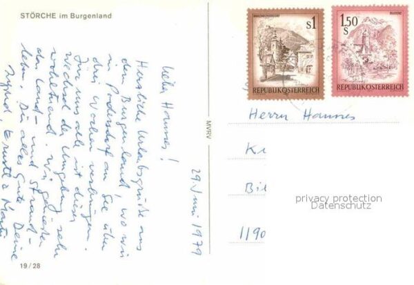 Storch Burgenland – Bild 2
