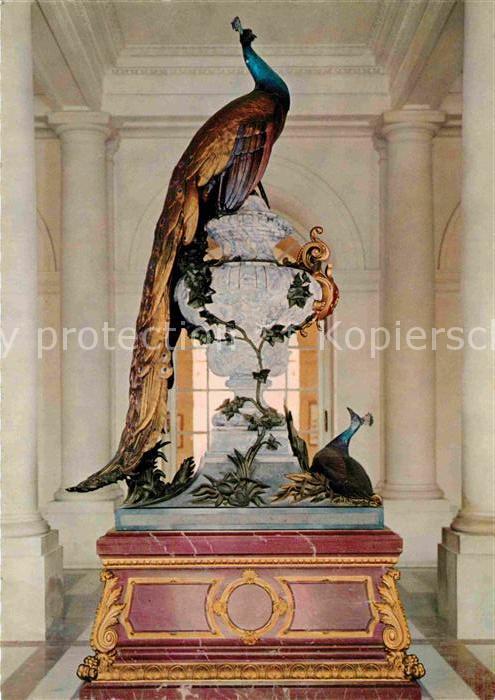 Voegel Pfau Königsschloss Herrenchiemsee