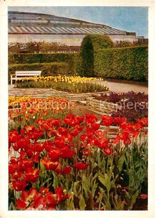 Bundesgartenschau Dortmund Rosenterrasse Westfalenhalle