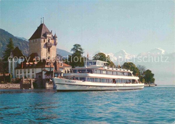 Motorschiffe MS Blümlisalp Thunersee Oberhofen