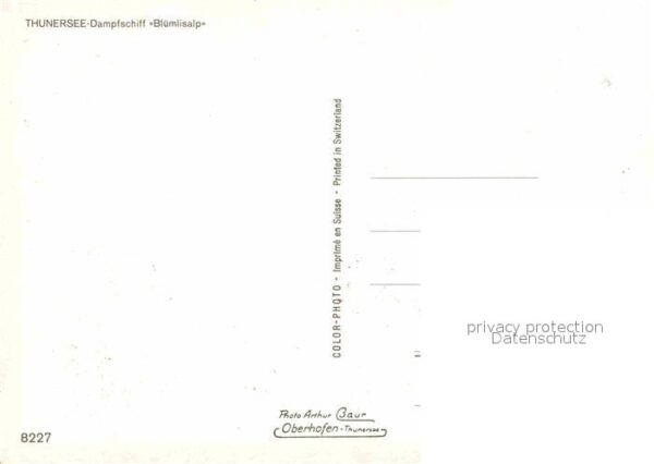 Dampfer Seitenrad Blümlisalp Thunersee – Bild 2