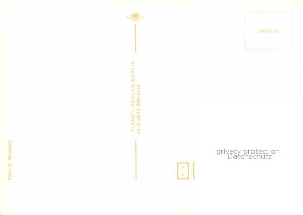 Pferde Fohlen – Bild 2