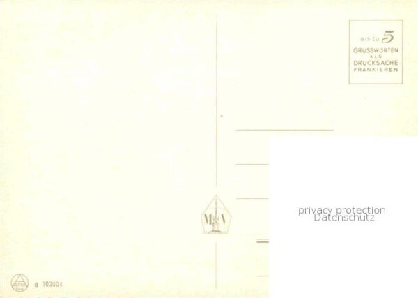 Kuehe – Bild 2