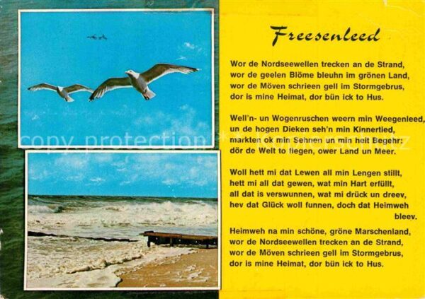 Liederkarte Freesenleed Möwen