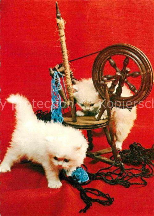 Spinnrad Katzen