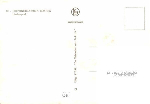Reh Provinciedomein Bokrijk Hertenpark – Bild 2
