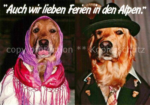 Hunde Vermenschlicht