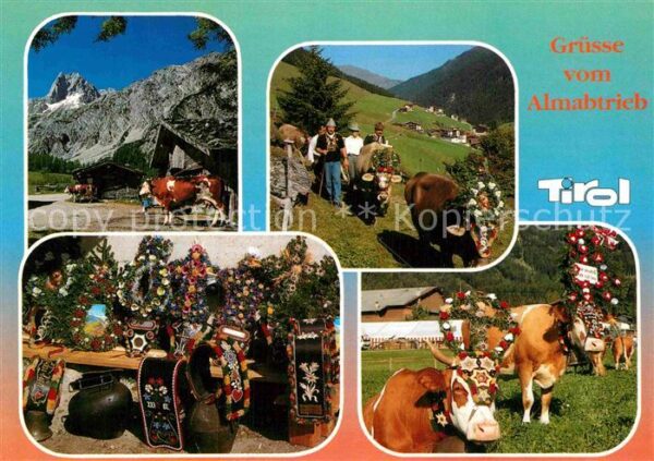 Kuehe Almabtrieb Tirol