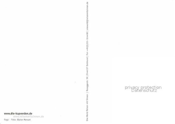Esel Tiere Kap Verde – Bild 2
