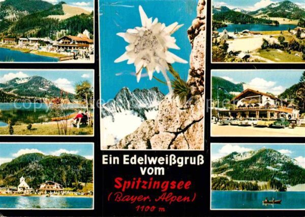 Edelweiss Spitzingsee