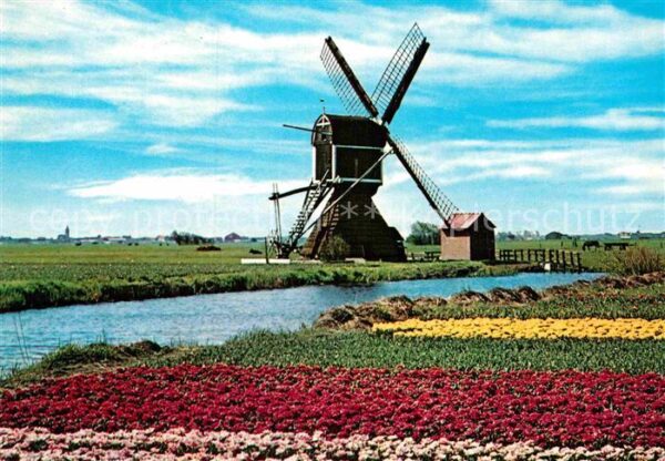 Windmuehle Holland Blumen