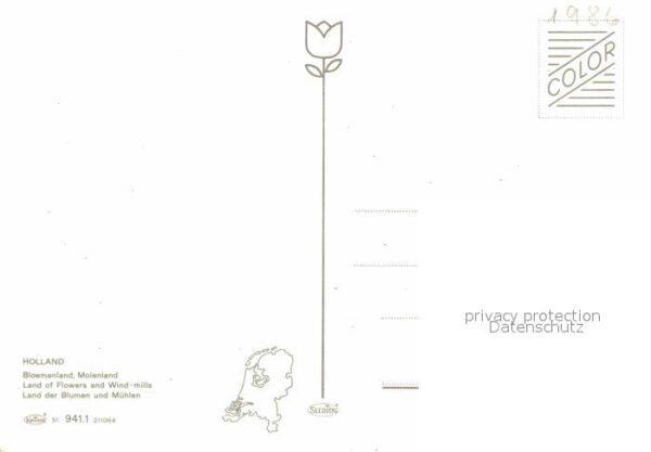 Windmuehle Holland Blumen – Bild 2
