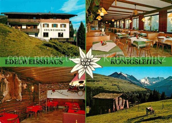 Koenigsleiten Edelweisshaus Alm
