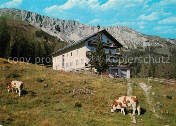 Gross Veitsch Alpengasthaus Scheikl