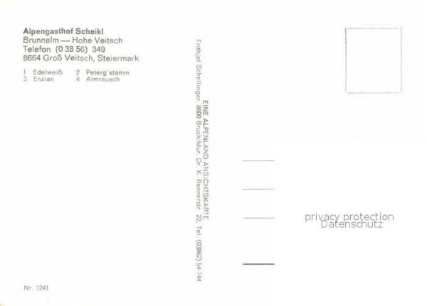 Gross Veitsch Brunnalm Edelweiß Enzian Almrausch Pete – Bild 2