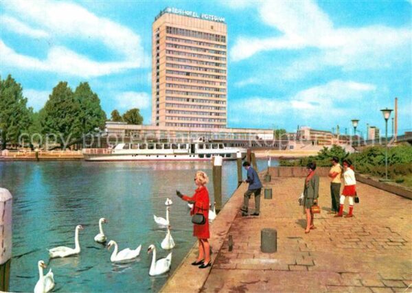 Potsdam Interhotel Potsdam an der Havel Schwäne