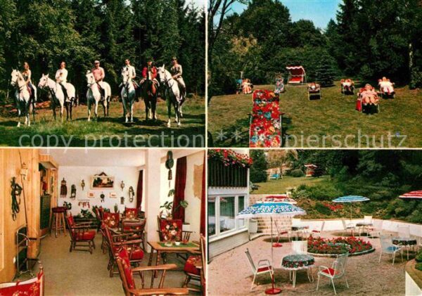 Braunlage Reiterpension Haus Elise Pferde Ausritt