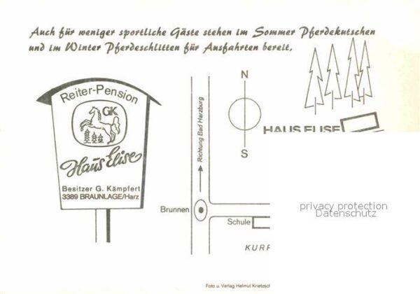 Braunlage Reiterpension Haus Elise Pferde Ausritt – Bild 2