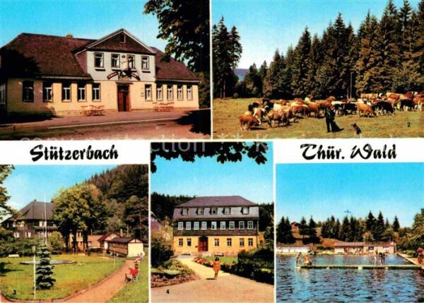 Stuetzerbach Gasthaus Auerhahn Kuhherde Kurpark Goet