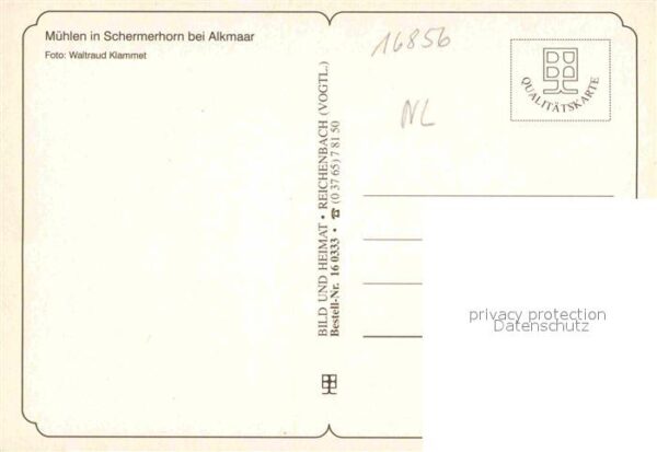 Schermerhorn Mühlen Schafe – Bild 2
