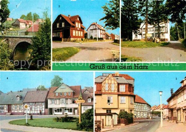 Tanne Harz Brücke Ferienheime Benneckenstein Roter