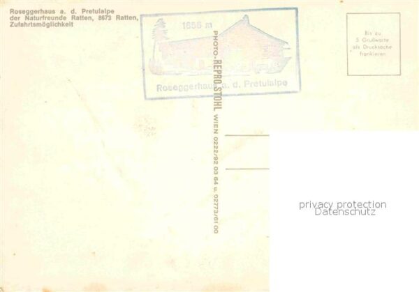 Ratten Roseggerhaus Pretulalpe – Bild 2