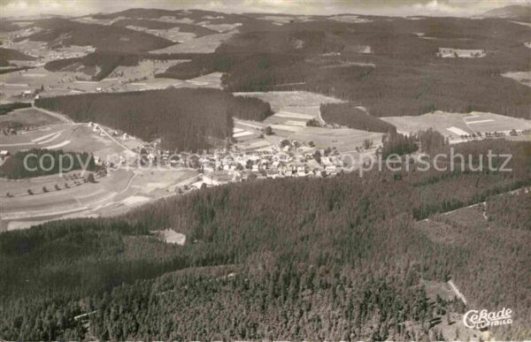 Friedenweiler Fliegeraufnahme