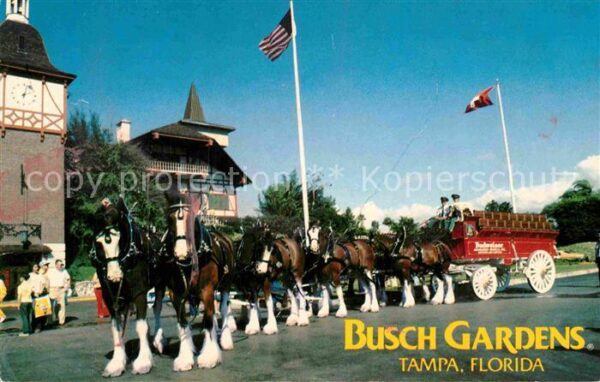 Tampa Florida Busch Gardens