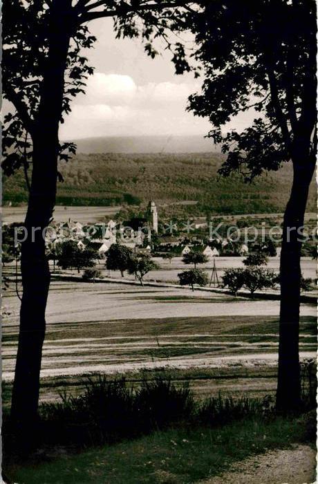 Usingen Teilansicht