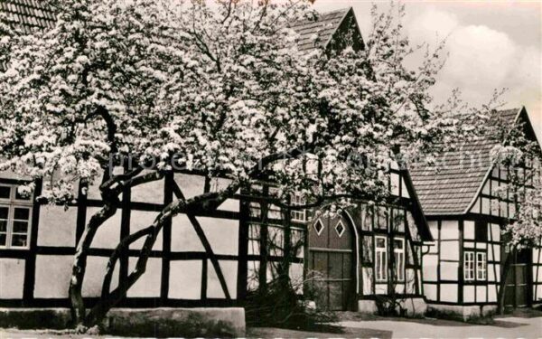 Bad Essen Blühende Bergstrasse Fachwerkhäuser