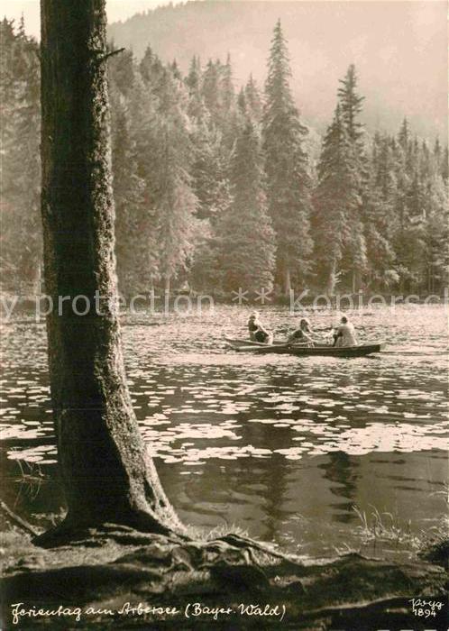 Arbersee Idyll
