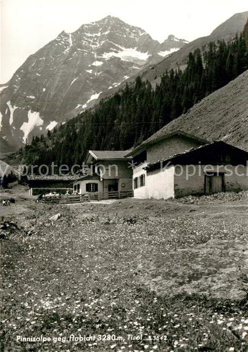 Pinnistal Pinnisalpe mit Habicht