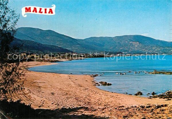 Malia Strand
