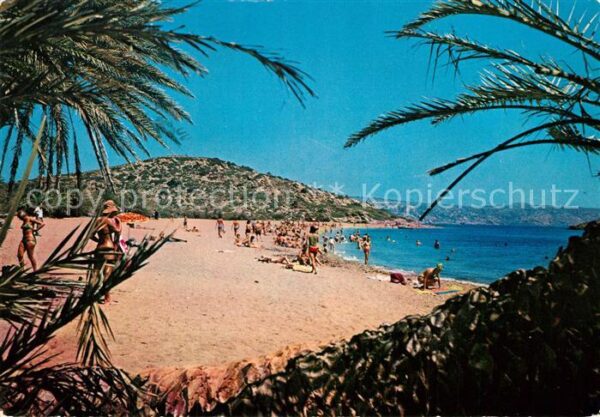 Vai Strand Palmenwald