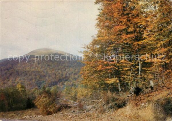 Bieszczady Teilansicht