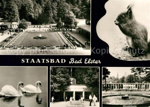 Bad Elster Kurpark Marienquelle Wandelhalle Schwän