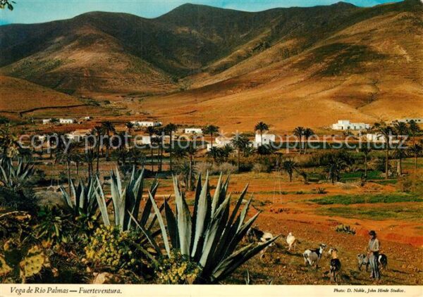 Fuerteventura Vega de Rio Palmas