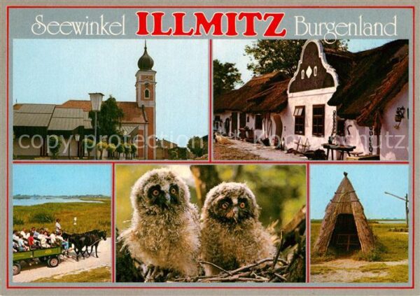 Illmitz Kirche Barockgiebelhaus Pferdewagen Jun