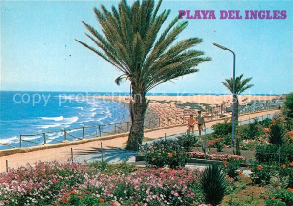 Playa del Ingles Paseo y playa Strand Promenade Palmen