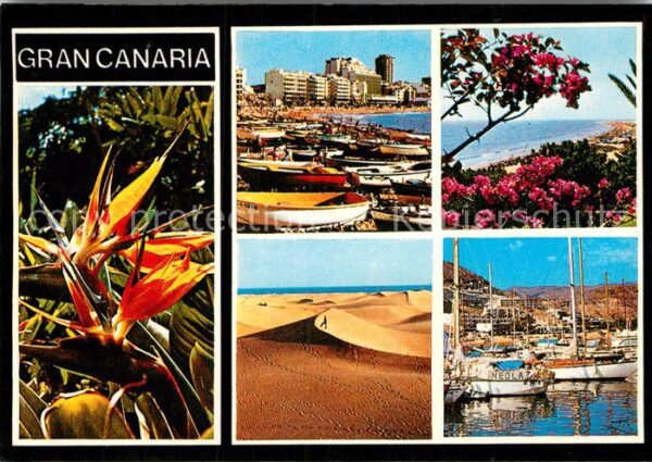 Gran Canaria Diversos aspecto Blumen Hafen Fischerbo