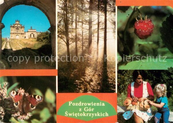 Gory Swietokrzyskie Schloss Waldpartie Himbeere Schmetterli