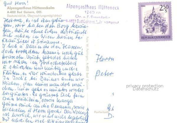 Bad Goisern Salzkammergut Alpengasthaus Hütteneckalm Almvieh Kühe – Bild 2