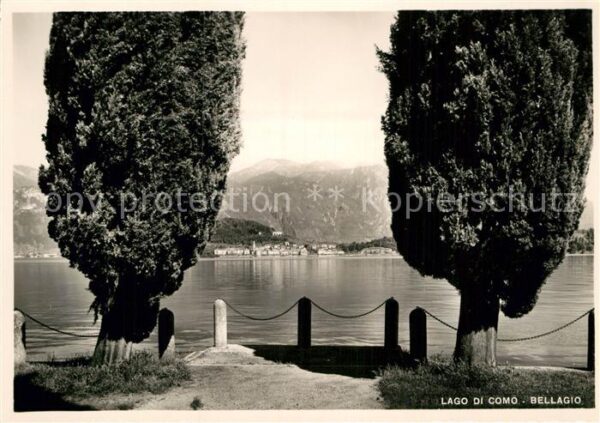 Bellagio Lago di Como Uferpromenade Comer See Pappeln