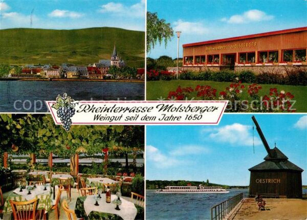 Oestrich-Winkel Rheinterrasse Molsberger